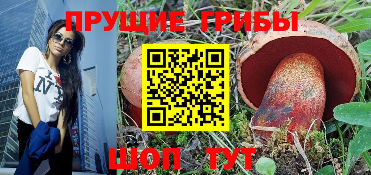 Артём  магазин продажи наркотиков  Вход с VPN  Галлюциногенные грибы Psilocybine cubensis 